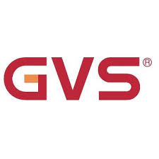 GVS